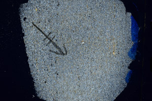 Cross Polarized, N7884