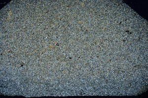 Cross Polarized, N7884/A