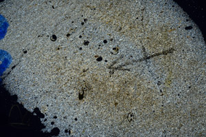 Cross Polarized, N7884/B