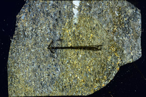 Cross Polarized, N7887