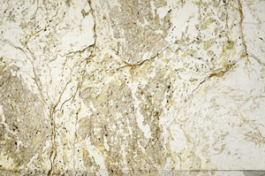 Plane Polarized, N7890
