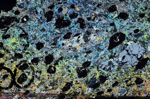 Cross Polarized, N7893