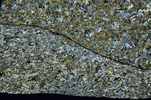 Cross Polarized, N7898