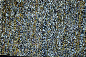 Cross Polarized, N7903