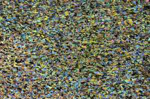 Cross Polarized, N7907