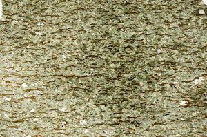 Plane Polarized, N7907