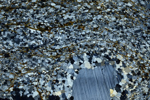 Cross Polarized, N7909/A