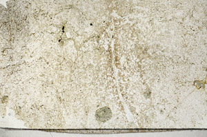 Plane Polarized, N7920