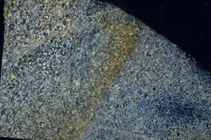 Cross Polarized, N7927