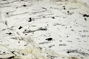Plane Polarized, N7937/B