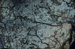 Cross Polarized, N7939