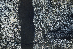 Cross Polarized, N7941/A