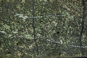 Cross Polarized, N7943