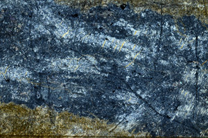 Cross Polarized, N7945