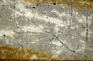 Plane Polarized, N7945