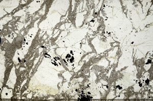 Plane Polarized, N7947