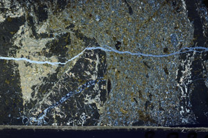 Cross Polarized, N7950
