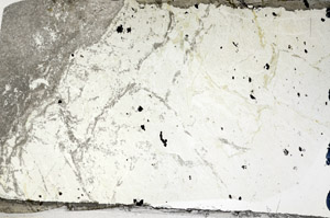 Plane Polarized, N7953