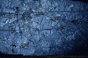 Cross Polarized, N7957