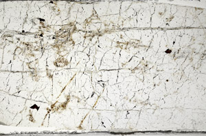 Plane Polarized, N7957