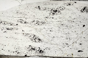Plane Polarized, N7958