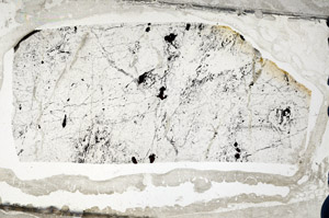 Plane Polarized, N7959