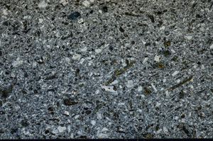 Cross Polarized, N7967