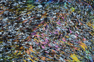 Cross Polarized, N7971