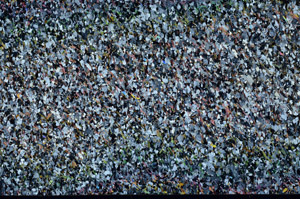 Cross Polarized, N7972