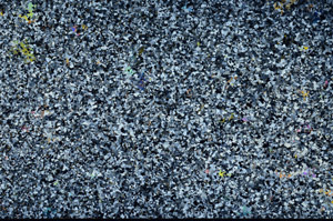 Cross Polarized, N7973