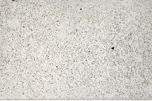 Plane Polarized, N7973