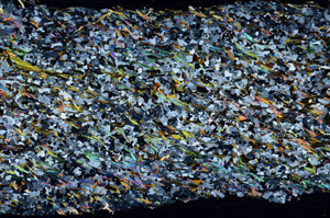 Cross Polarized, N7976