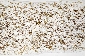 Plane Polarized, N7976