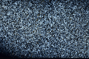 Cross Polarized, N7978