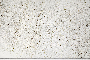 Plane Polarized, N7978