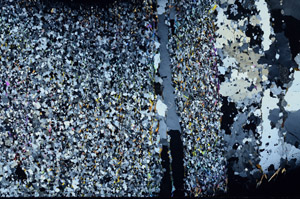 Cross Polarized, N7979