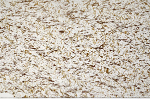 Plane Polarized, N7980