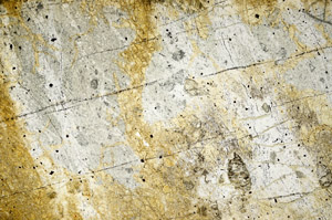 Plane Polarized, N7993/A