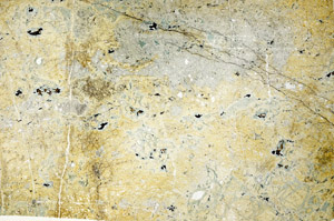 Plane Polarized, N7995
