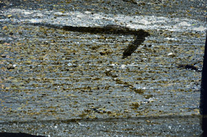 Cross Polarized, N8007