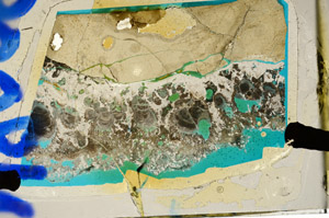 Plane Polarized, N8009