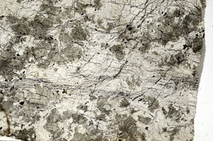 Plane Polarized, N8019