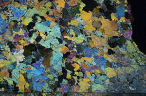 Cross Polarized, N8021
