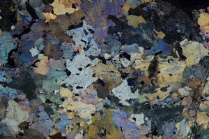 Cross Polarized, N8022