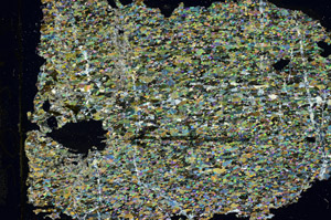 Cross Polarized, N8042