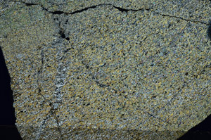 Cross Polarized, N8053