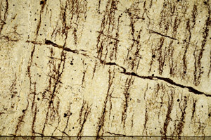 Plane Polarized, N8063