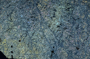 Cross Polarized, N8111/A
