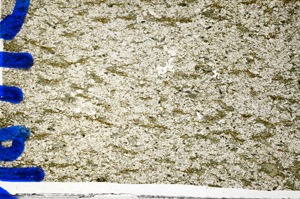 Plane Polarized, N8115