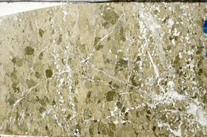 Plane Polarized, N8117